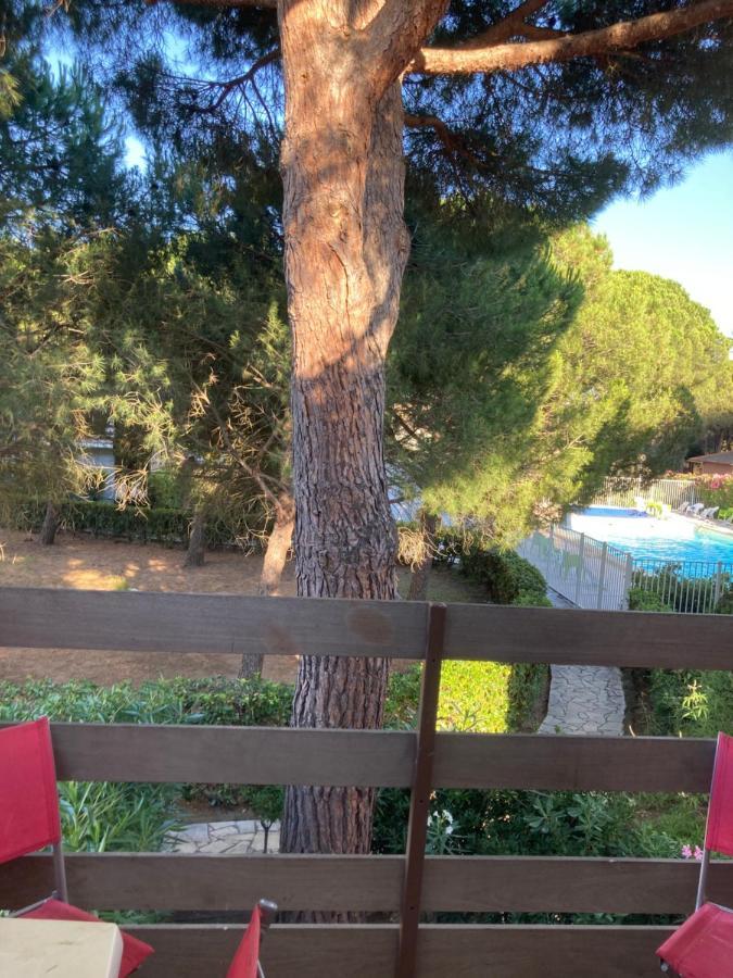 Residence Piscine Proche Village Naturiste - Pinede Agde Exterior foto